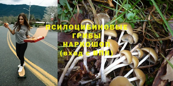 PSILOCYBIN Абдулино