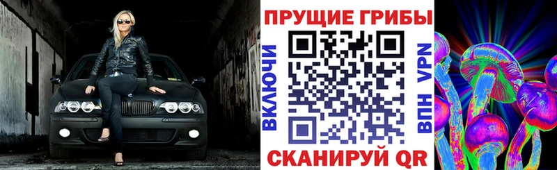 Псилоцибиновые грибы Cubensis  mega как войти  Отрадная 